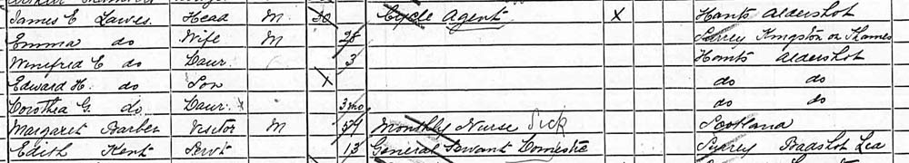 1891 census