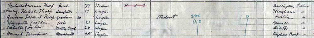 1911 census
