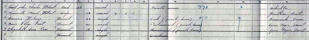1911 census