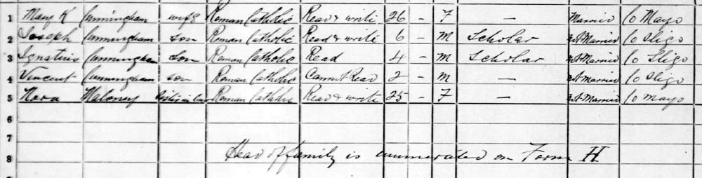 1901 census